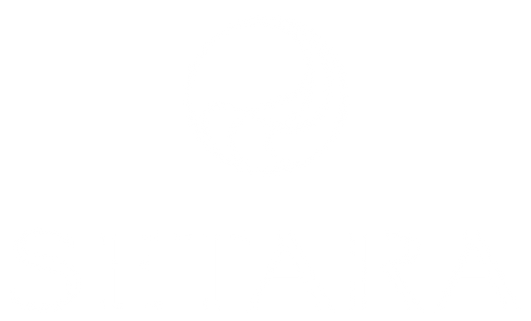 Distribuidora Doozet - Opalo